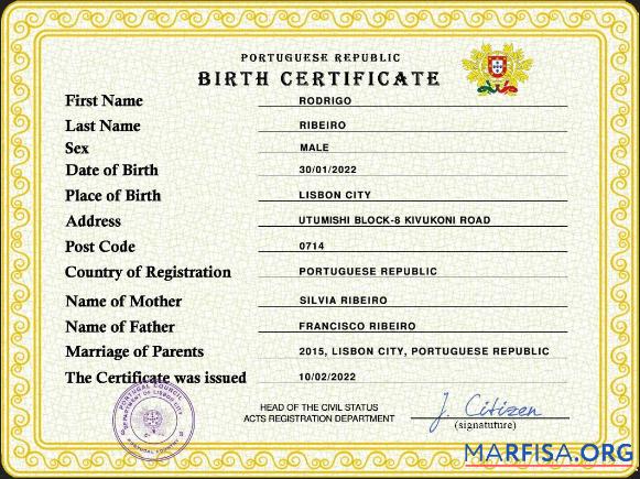 Realistic Portugal vital record birth certificate PSD template